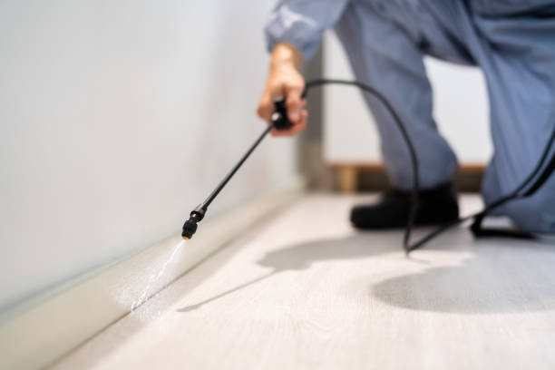 Licensed Mosquito Control service in Prairie Grove, IL - Show Me Pest Control