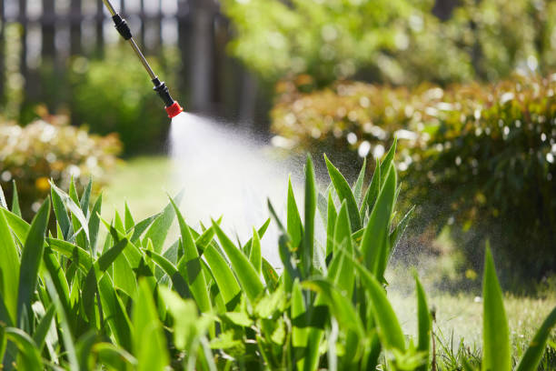 24/7 Emergency Mosquito Control experts in Prairie Grove, IL